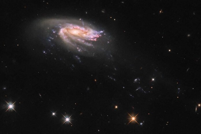 Hubble Space Telescope's Stunning Discovery: A Mesmerizing Portrait of JO206, the Jellyfish Galaxy