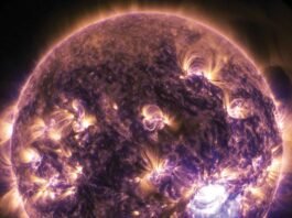 India's Aditya-L1 Spacecraft Captures Solar Flares for the First Time