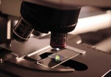 IIT Madras Scientists Elevate Cancer Drug Production from Plants IIT Madras Scientists Elevate Cancer Drug Production from Plants