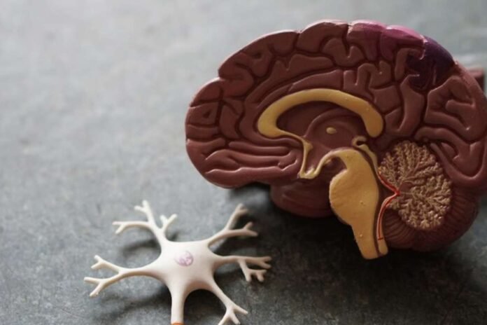 featured-crispr-1200x800-1